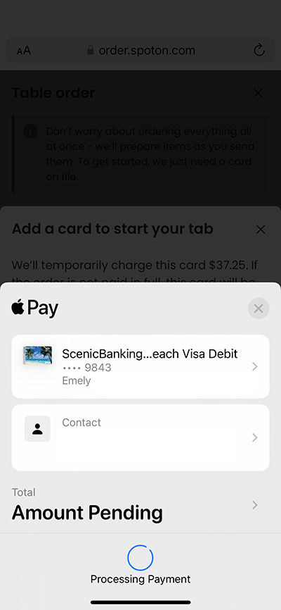 A screenshot of my Apple Pay screen when paying for lunch